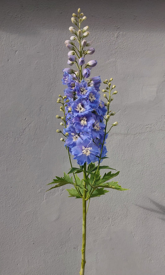 Delphinium sky blue, white bee